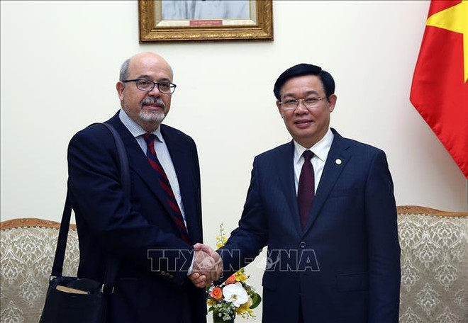 政府副总理王廷惠会见国际货币基金组织代表团 ảnh 1