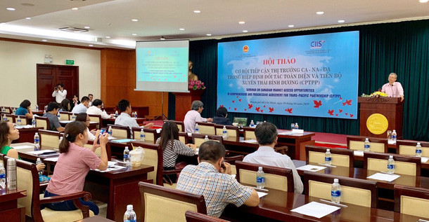 CPTPP：越南进军加拿大市场机会巨大 ảnh 1