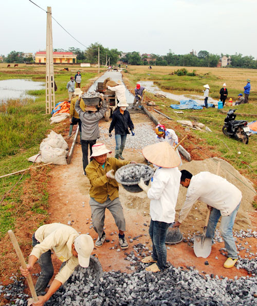 北江省集中为农业与农村发展项目提供贷款 ảnh 1 北江省集中为农业与农村发展项目提供贷款 ảnh 1