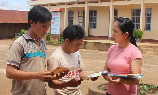 越南力争到2030年彻底消除疟疾 ảnh 1