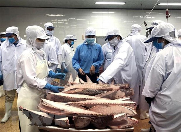 今年前7月越南金枪鱼出口额增长21% ảnh 1 今年前7月越南金枪鱼出口额增长21% ảnh 1