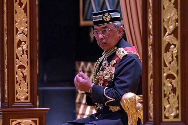 马来西亚国王将尽早公布候选人提名 ảnh 1 马来西亚国王将尽早公布候选人提名 ảnh 1