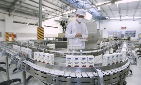 越南企业加大境外投资力度 ảnh 1 越南企业加大境外投资力度 ảnh 1