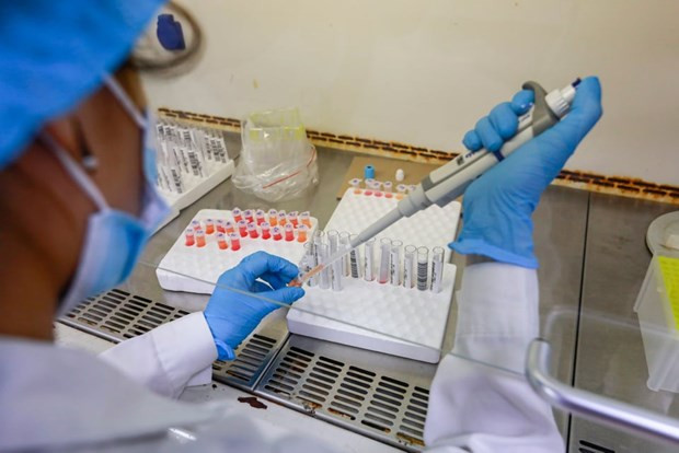 ☕️越通社新闻下午茶（2021.8.19） ảnh 3