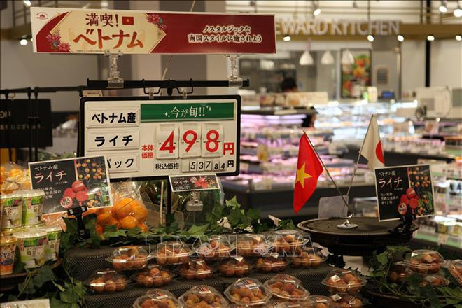 日本新潟县与越南各地方促进经济合作 ảnh 2 日本新潟县与越南各地方促进经济合作 ảnh 2