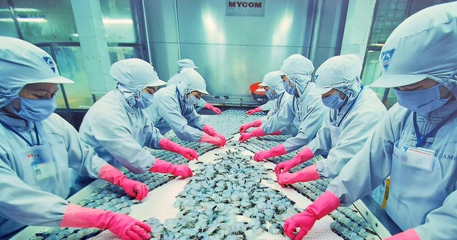 把挑战化为促进出口的机会 ảnh 1 把挑战化为促进出口的机会 ảnh 1