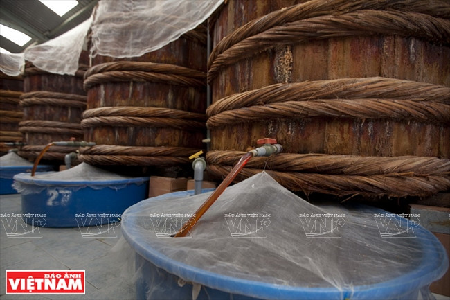 百年商标莲成鱼露 ảnh 3 百年商标莲成鱼露 ảnh 3