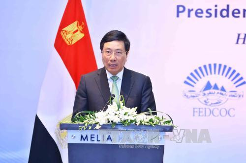 越南埃及企业论坛扩大越南与埃及的合作力度 ảnh 2