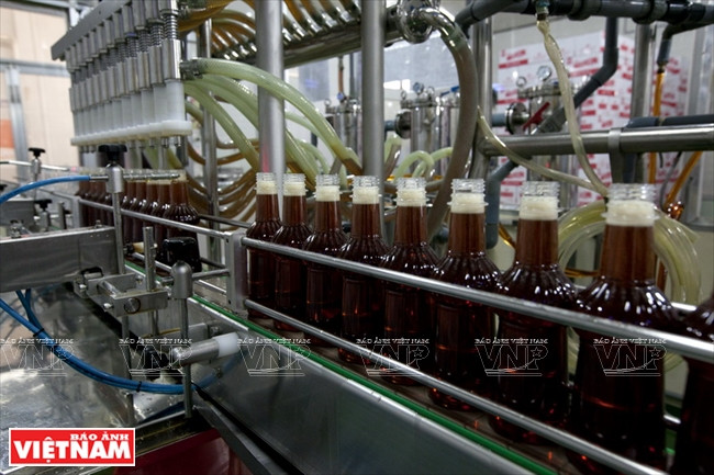 百年商标莲成鱼露 ảnh 5 百年商标莲成鱼露 ảnh 5