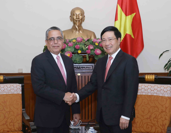 范平明副总理：越南始终支持古巴的革命事业 ảnh 1