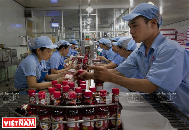 百年商标莲成鱼露 ảnh 6 百年商标莲成鱼露 ảnh 6