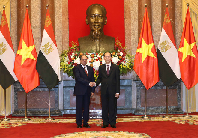 越南国家主席陈大光与埃及总统塞西举行会谈 ảnh 1