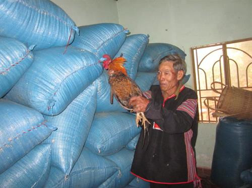 莫农族取稻草礼仪——西原地区一道美丽的文化风景线 ảnh 1 莫农族取稻草礼仪——西原地区一道美丽的文化风景线 ảnh 1