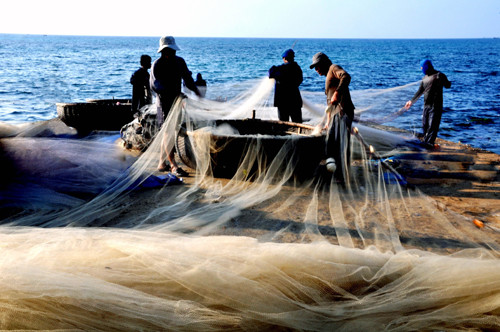 广义省集中推动海洋与岛屿经济发展 ảnh 1 广义省集中推动海洋与岛屿经济发展 ảnh 1