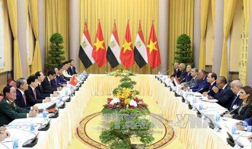 埃及总统访问越南 双方发表联合新闻公报 ảnh 1 埃及总统访问越南 双方发表联合新闻公报 ảnh 1