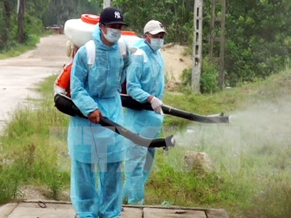 越南登革热疫情呈现减缓趋势 ảnh 1 越南登革热疫情呈现减缓趋势 ảnh 1