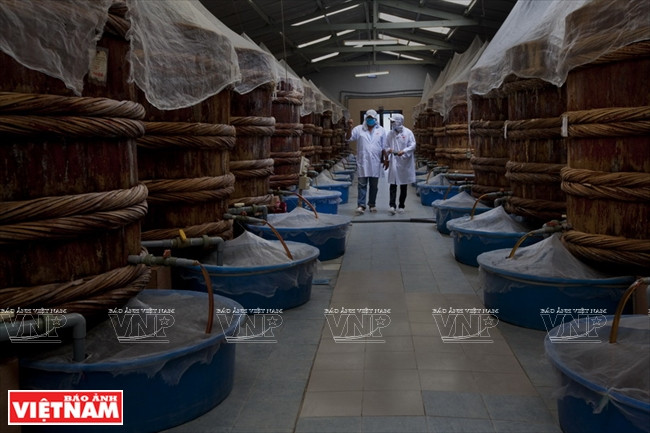 百年商标莲成鱼露 ảnh 2 百年商标莲成鱼露 ảnh 2