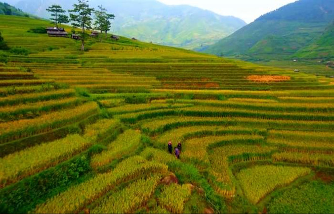  越南旅游业努力加强国内外旅游目的地的对接 ảnh 1