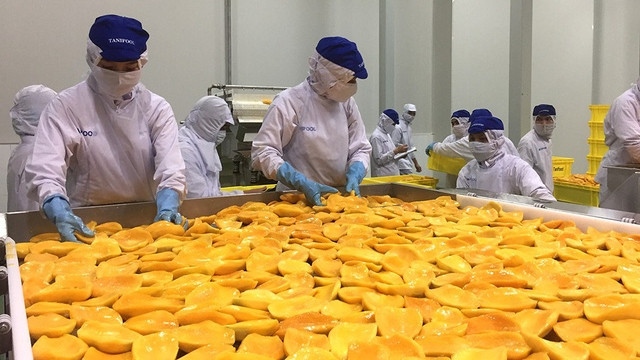 越南加工蔬果对美国市场的出口潜力巨大 ảnh 1 越南加工蔬果对美国市场的出口潜力巨大 ảnh 1