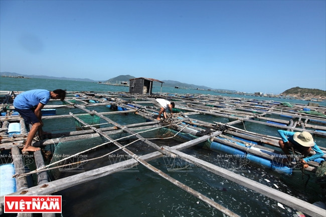 富安天地 ảnh 6 富安天地 ảnh 6