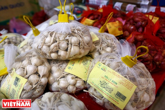 首都 “清洁农产品绿色地址” ảnh 5 首都 “清洁农产品绿色地址” ảnh 5