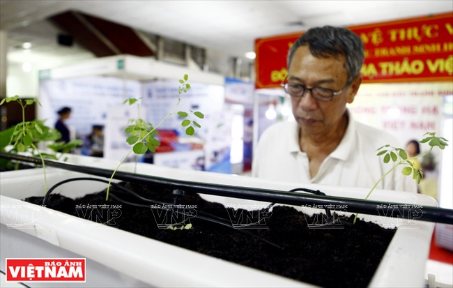 首都 “清洁农产品绿色地址” ảnh 13 首都 “清洁农产品绿色地址” ảnh 13