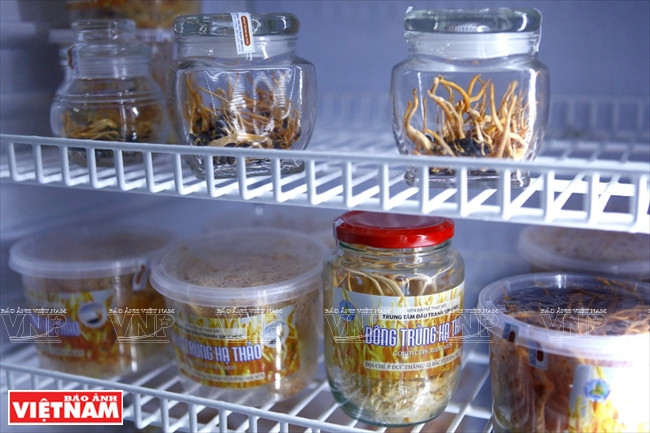 首都 “清洁农产品绿色地址” ảnh 4 首都 “清洁农产品绿色地址” ảnh 4