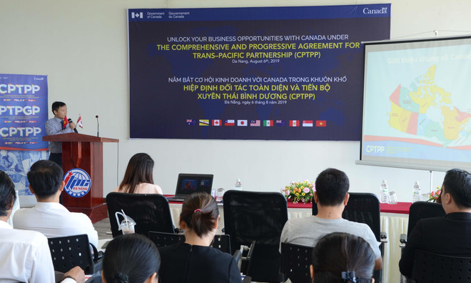 岘港努力掌握与加拿大经营合作机会 ảnh 2