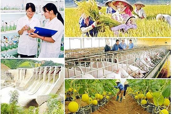 今年上半年国家目标计划有效执行并取得积极成果 ảnh 1 今年上半年国家目标计划有效执行并取得积极成果 ảnh 1