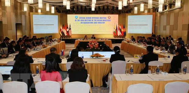东盟农业和林业高官会议在承天顺化省开幕 ảnh 2