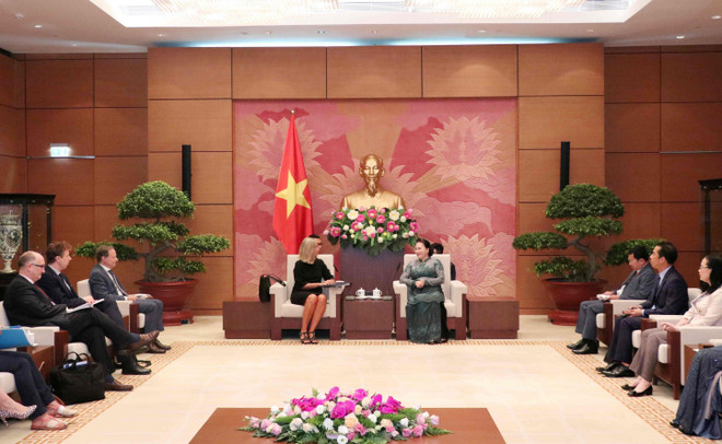 越南国会主席阮氏金银会见欧洲委员会副主席费德丽卡•莫盖里尼 ảnh 1 越南国会主席阮氏金银会见欧洲委员会副主席费德丽卡•莫盖里尼 ảnh 1
