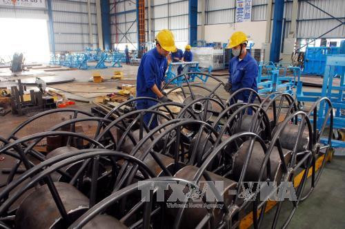 300家越南企业参与跨国公司的生产网络 ảnh 2 300家越南企业参与跨国公司的生产网络 ảnh 2