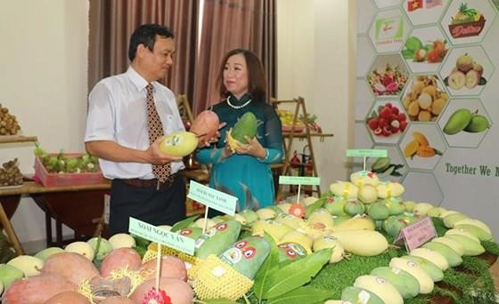 中美贸易摩擦:越南向中国出口活动遇阻 ảnh 1 中美贸易摩擦:越南向中国出口活动遇阻 ảnh 1