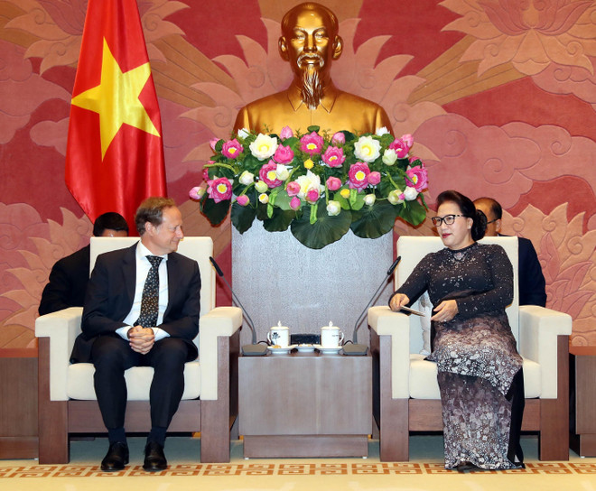 越南国会主席阮氏金银会见欧盟驻越代表团团长安格莱特 ảnh 1 越南国会主席阮氏金银会见欧盟驻越代表团团长安格莱特 ảnh 1