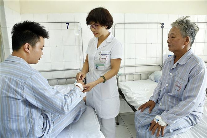 登革热已致全国15人死亡 ảnh 1