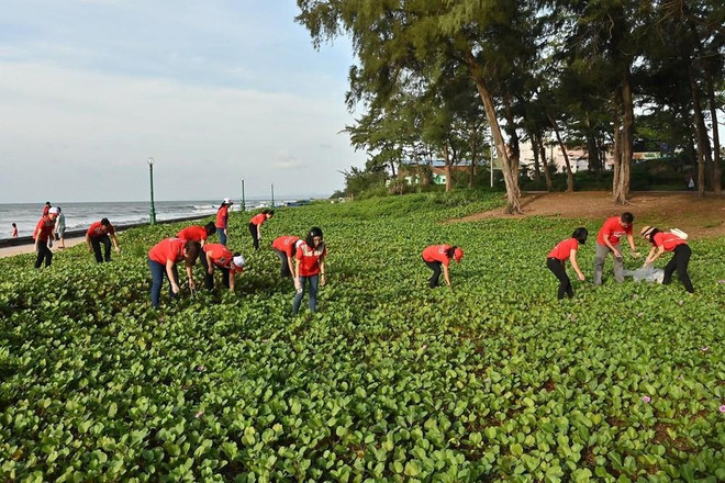 平顺省环境清洁活动吸引数百人参加 ảnh 2 平顺省环境清洁活动吸引数百人参加 ảnh 2