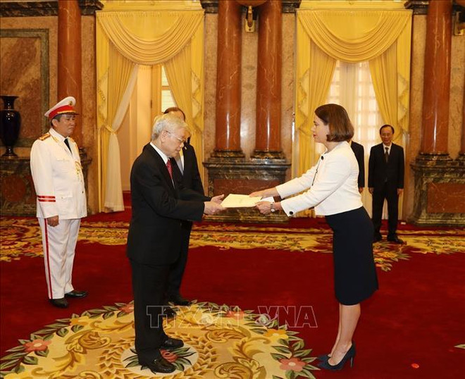 越共中央总书记、国家主席阮富仲接受各国驻越大使递交国书 ảnh 2 越共中央总书记、国家主席阮富仲接受各国驻越大使递交国书 ảnh 2