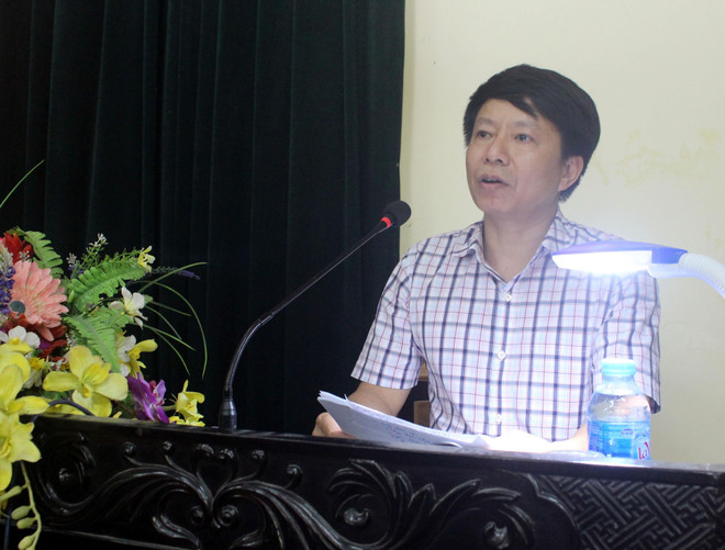 海阳省即将举行“城东-新活力”狂欢节 ảnh 2