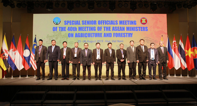 东盟农业和林业高官会议在承天顺化省开幕 ảnh 1