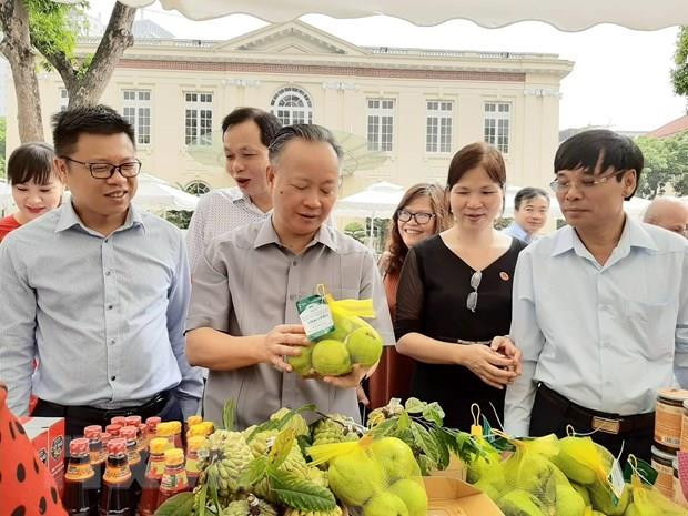 河内市打造近730条安全食品供应链 ảnh 1 河内市打造近730条安全食品供应链 ảnh 1