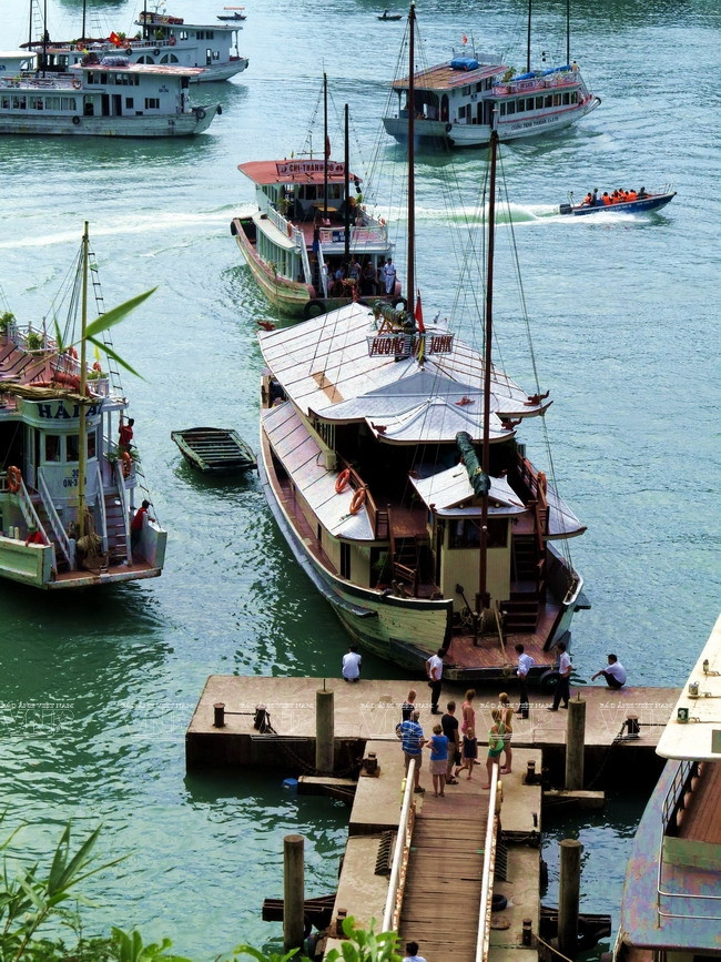 下龙湾游船之旅 ảnh 1