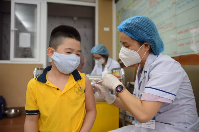 胡志明市要求各地增设儿童新冠疫苗接种点 ảnh 1 胡志明市要求各地增设儿童新冠疫苗接种点 ảnh 1