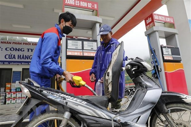 越南政府总理就加强价格监管工作做出重要指示 ảnh 1