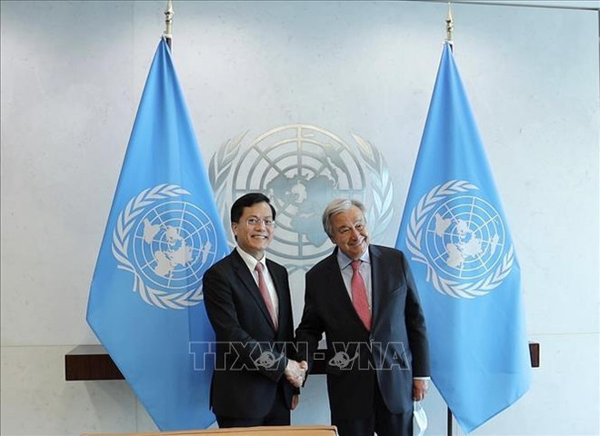 联合国高度评价越南应对气候变化的承诺 ảnh 1 联合国高度评价越南应对气候变化的承诺 ảnh 1