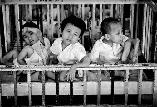 8·10越南橙剂受害者日:扎实做好资源调动工作 ảnh 1 8·10越南橙剂受害者日:扎实做好资源调动工作 ảnh 1