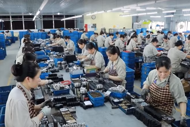 东南部企业和劳动力数量位居全国第一 ảnh 1