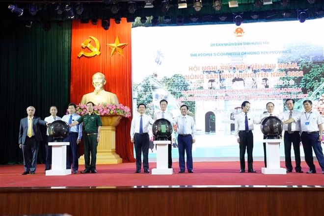中国大使馆代表承诺为越南兴安省农产品打入中国市场搭建桥梁 ảnh 1 中国大使馆代表承诺为越南兴安省农产品打入中国市场搭建桥梁 ảnh 1