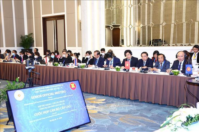 东盟与中日韩公共事务合作第六次高官会在河内举行 ảnh 1 东盟与中日韩公共事务合作第六次高官会在河内举行 ảnh 1