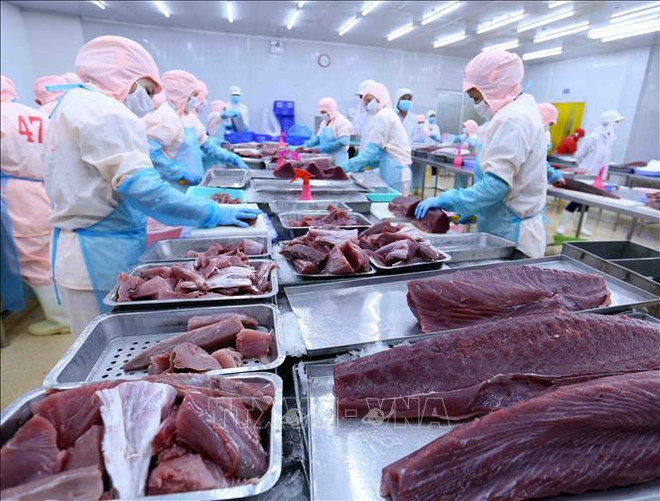 2022年越南进出口额有望突破7000亿美元的大关 ảnh 2 2022年越南进出口额有望突破7000亿美元的大关 ảnh 2