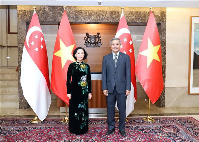 越共中央组织部部长张氏梅对新加坡进行工作访问 ảnh 1 越共中央组织部部长张氏梅对新加坡进行工作访问 ảnh 1